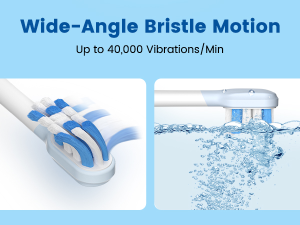 Wide-Angle Bristle Motion