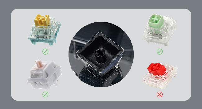 Lusterfly jelly kecaps set