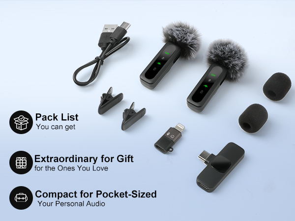 mini mic