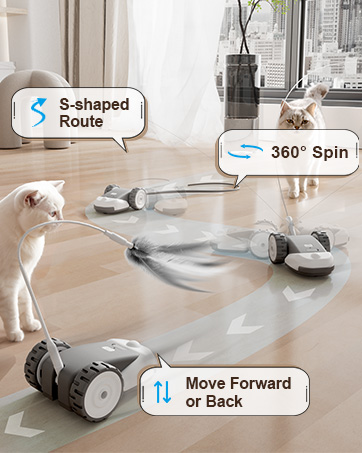 Interactive Cat Toy