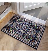 Rugcomf Entryway Rug 2x3 Rug Door Mat Indoor Entrance Washable Rug Small Non-Slip Low Pile Throw ...