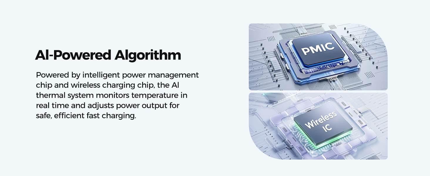 Advanced Dual-Chip