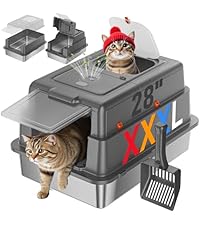 https://m.media-amazon.com/images/I/413PuCHe10L.__AC_SR200,225___.jpg