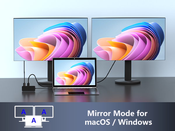 hdmi dual monitor adapter