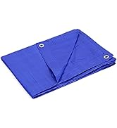 Kotap TRA-0810 Waterproof All-Purpose Multi-Use 5-mil Poly Tarp, 8 x 10-Foot, Blue