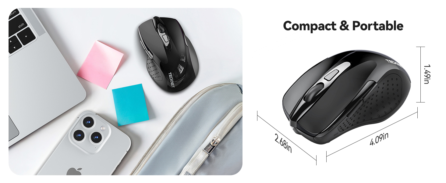 mouse