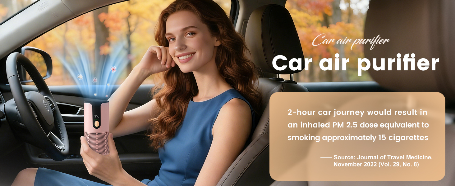 Car air purifier