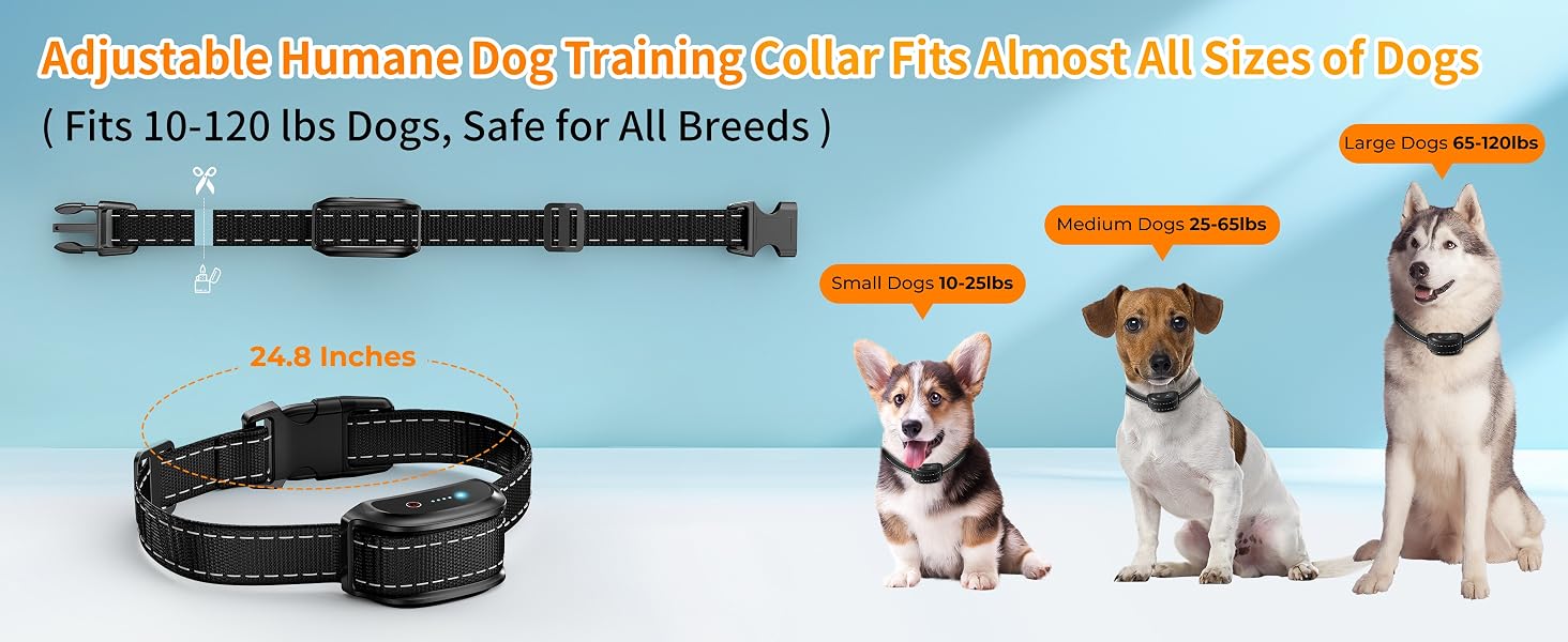dog training collar 4