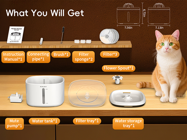 What You Will Get
