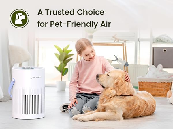 Air purifiers for home