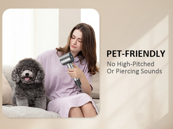 hair dryer for pet