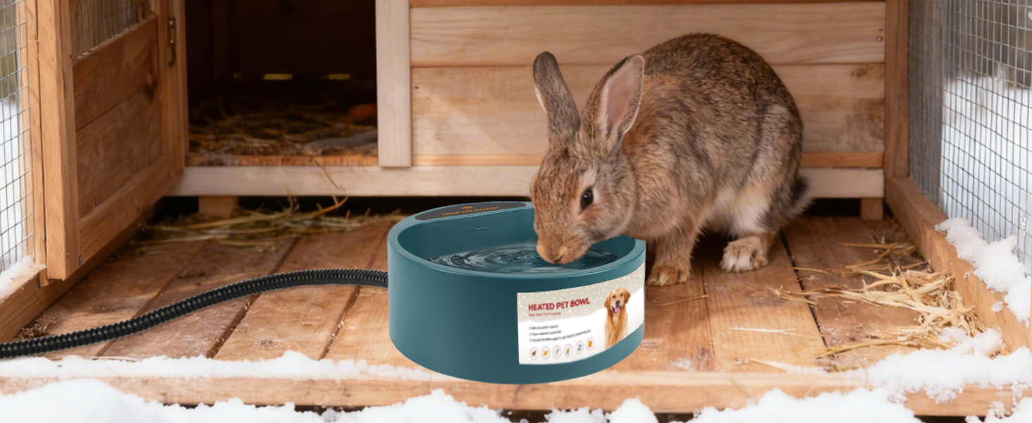 Rabbits Bowl