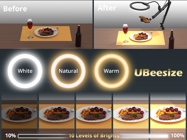 overhead phone mount with light