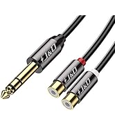 J&amp;D 6.35 mm to 2RCA Cable, Gold Plated Copper Shell Heavy Duty 6.35mm 1/4 inch Male TRS to Stereo...