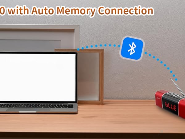 FM Radio Bluetooth Speaker