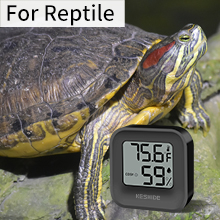 room temperature monitor