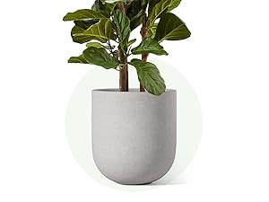 12 inch planter