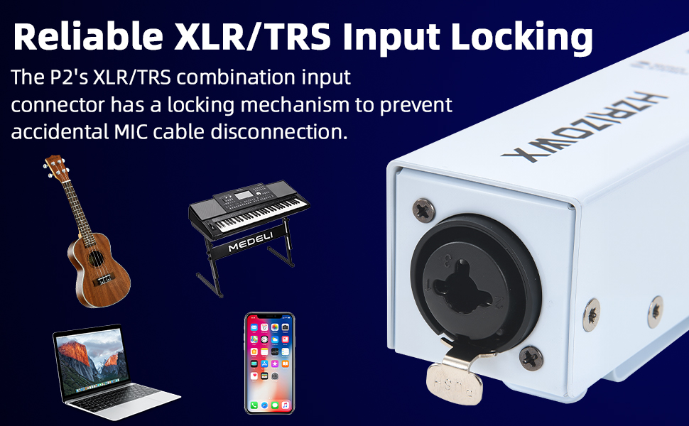 XLR/TRS Input Locking P2