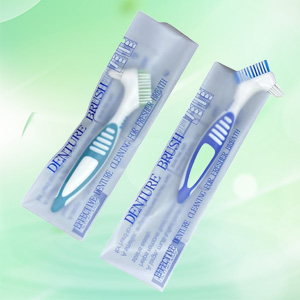 Denture brush