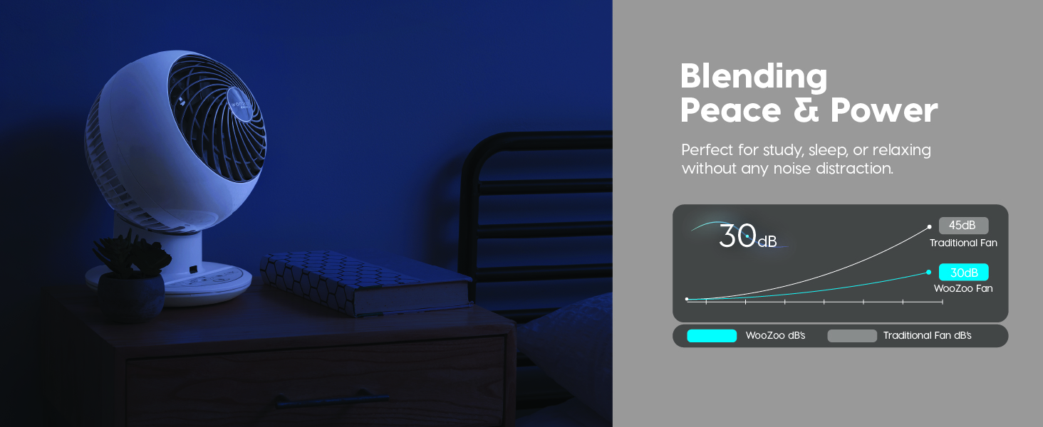 IRIS USA WOOZOO Air Circulator Fan with Remote, Oscillating, 5 Speeds, 82ft Max Air Distance