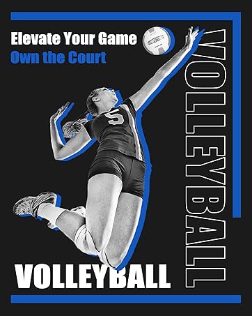 volleyball net