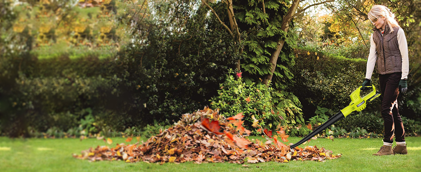 Leaf Blower with 2 Batteries and Charger