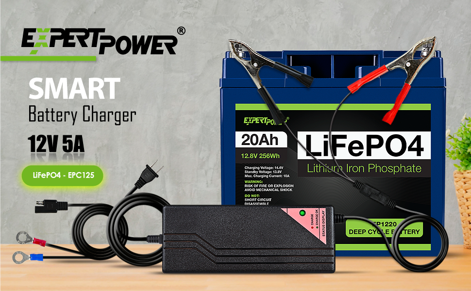 epc245 lifepo4 charger