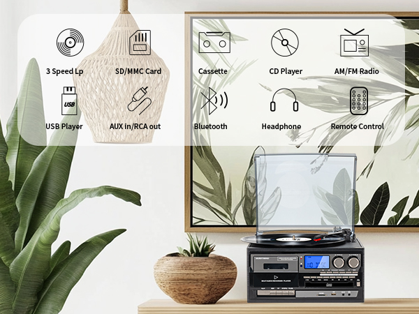 9 in 1 Record Player