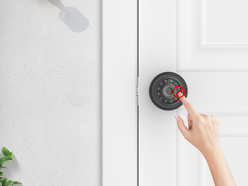 biometric door lock with app