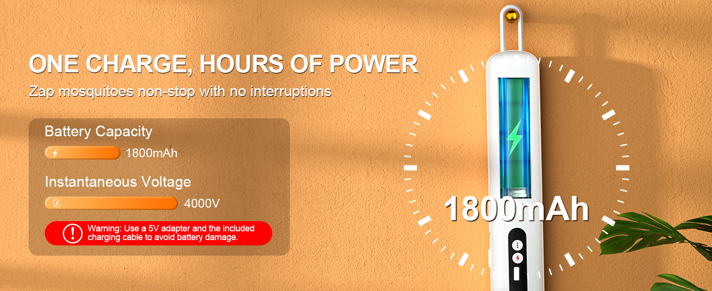 electric fly swatter