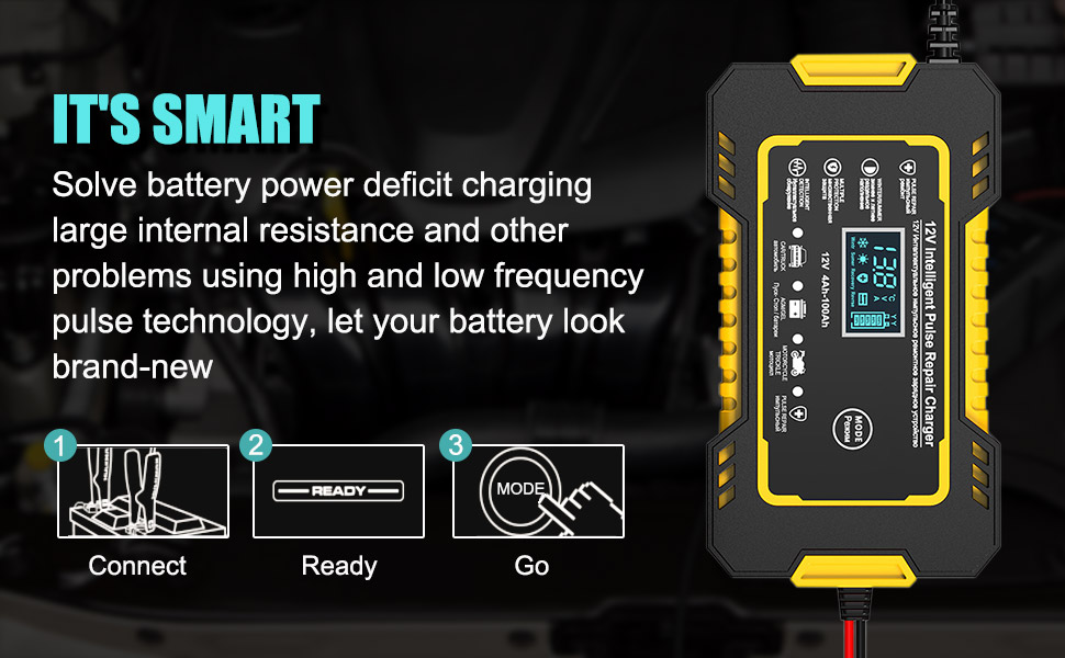 Smart Car Battery Charger