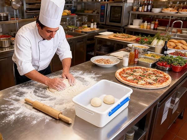 pizza dough proofing box