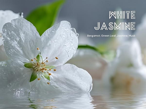 White Jasmine