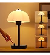 Table Lamp for Bedroom, Stepless Dimmable Bedside Lamp with Premium Frosted Glass Shade, Desk Lam...