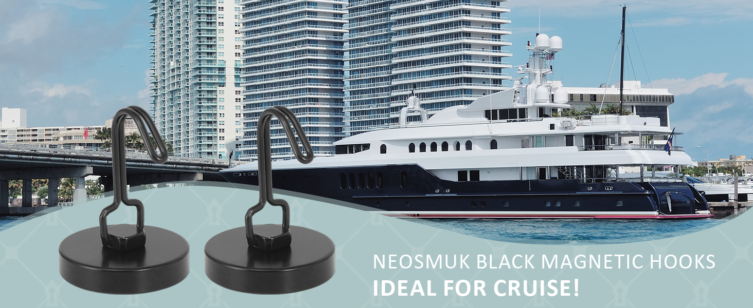 Neosmuk black swing magnetic hooks