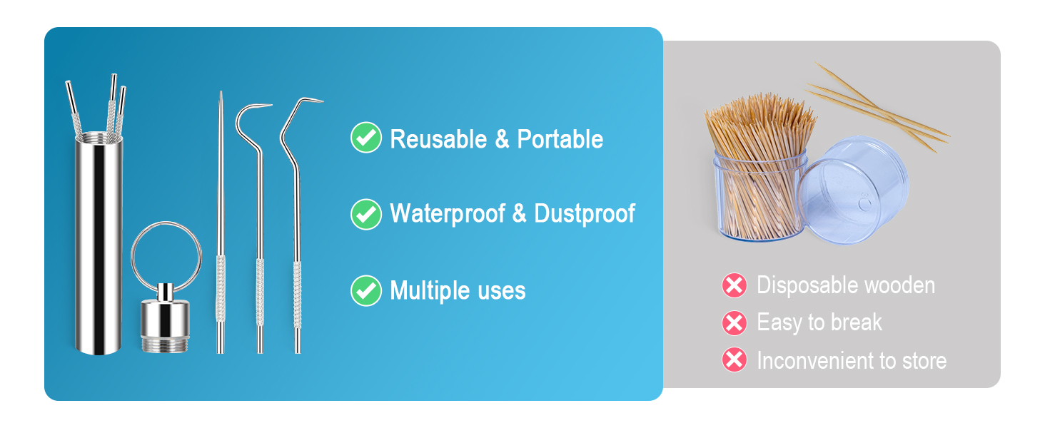 Metal Toothpicks Kit