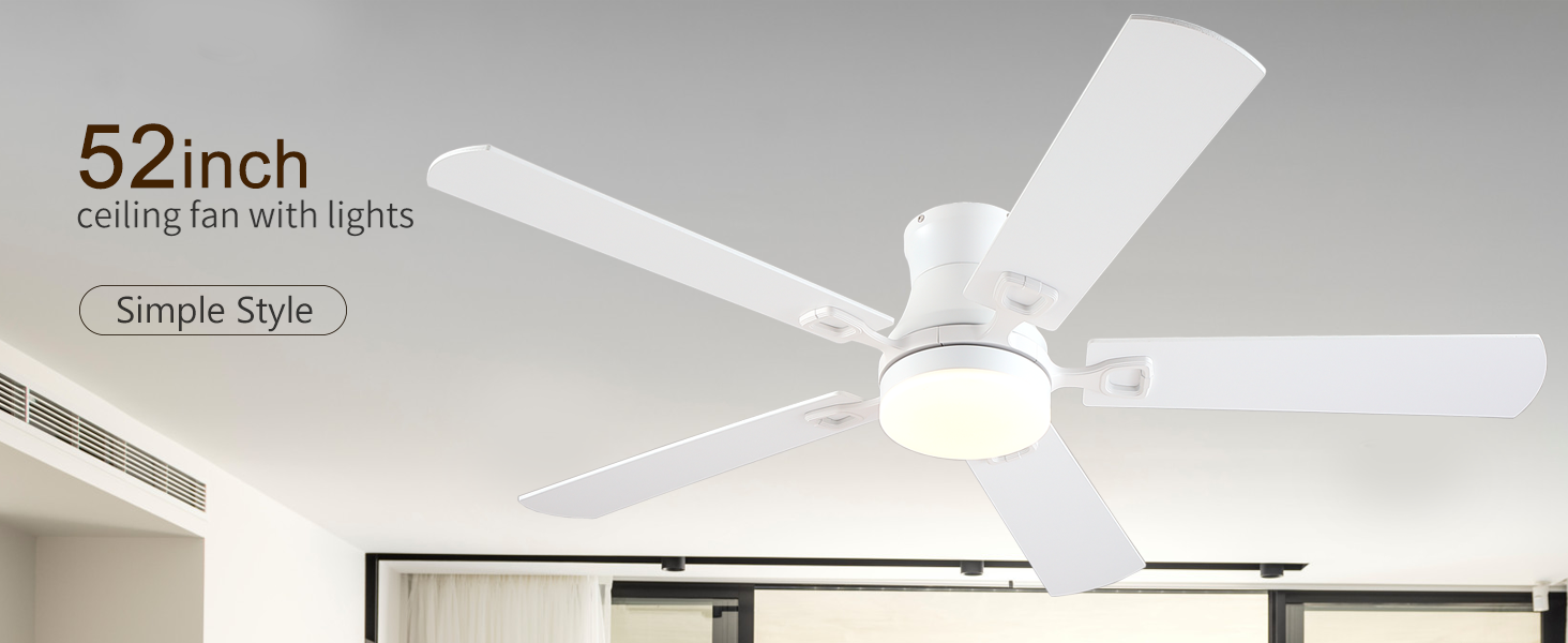 ceiling fan