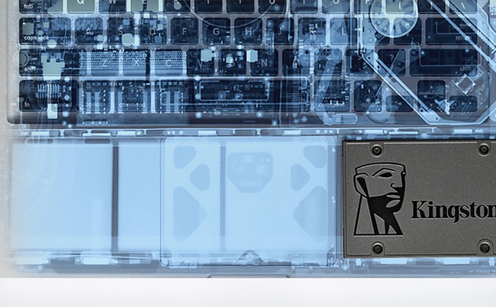 Endurance and Reliability