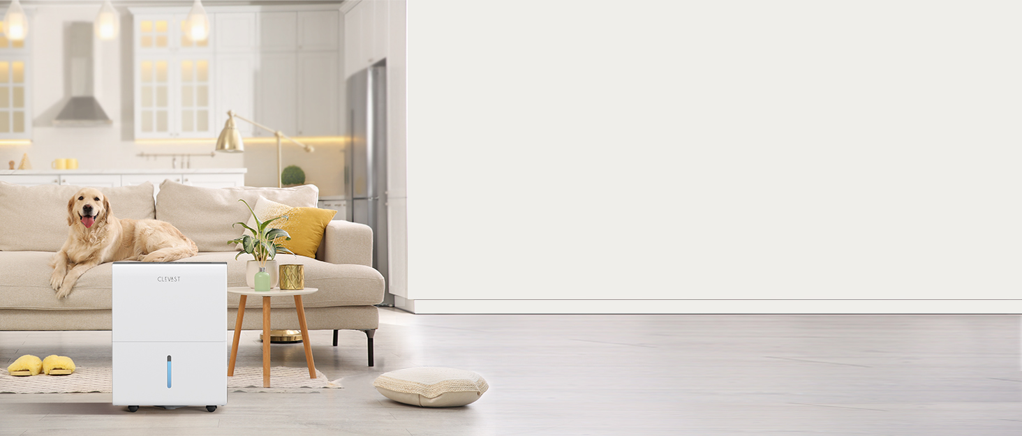 CLEVAST-BRNAD STORY1