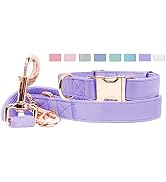 Soft Leather Dog Collar and Leash (6.6') Set - Stylish Rose Gold Heavy Duty Metal Buckle, 4 Adjus...