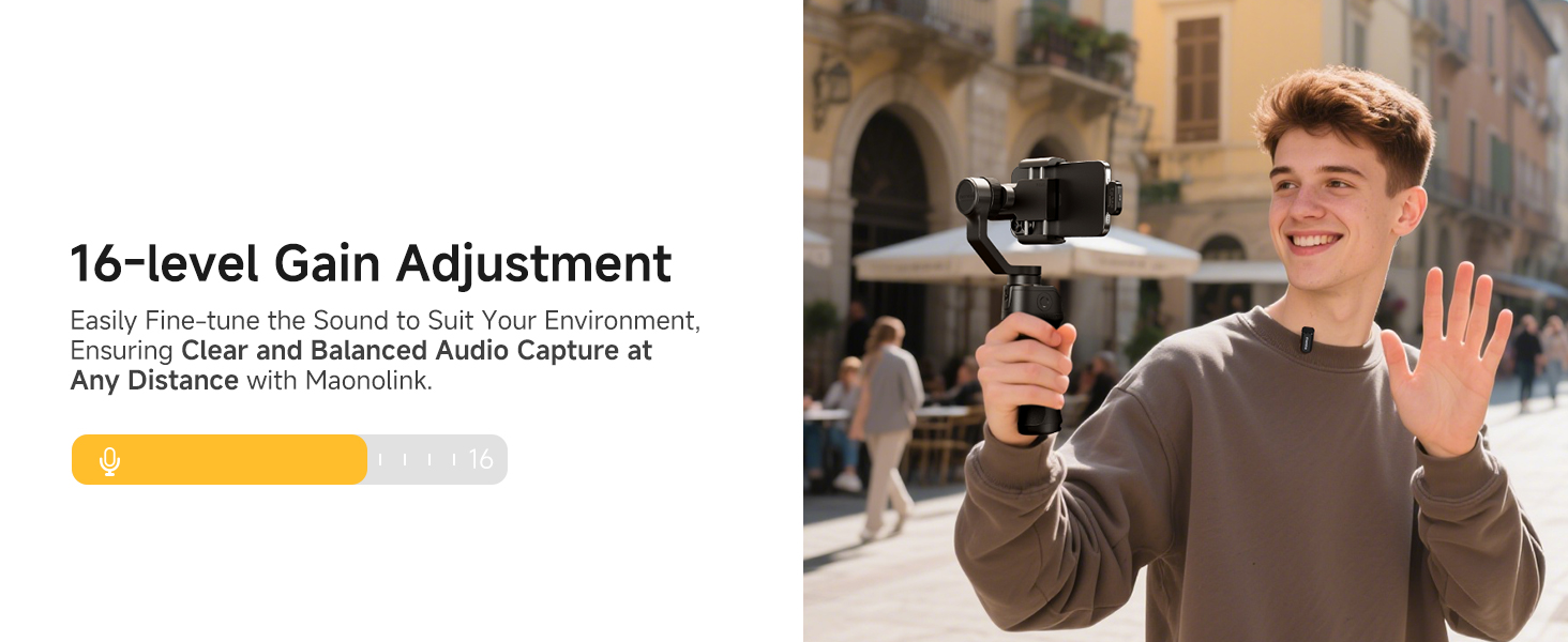 32dB Gain Adjustment