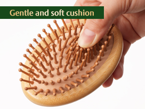hair brush
