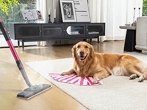 Schenley Steam Mop
