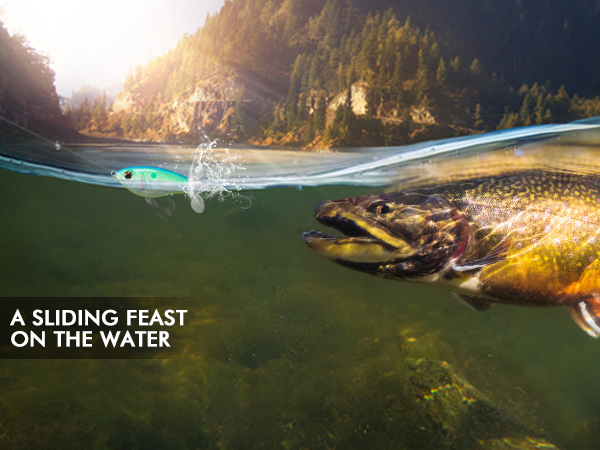 bass fishing