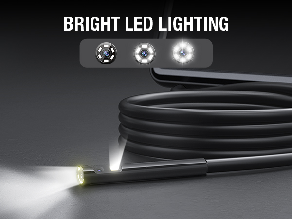 Adjustable LED Lights