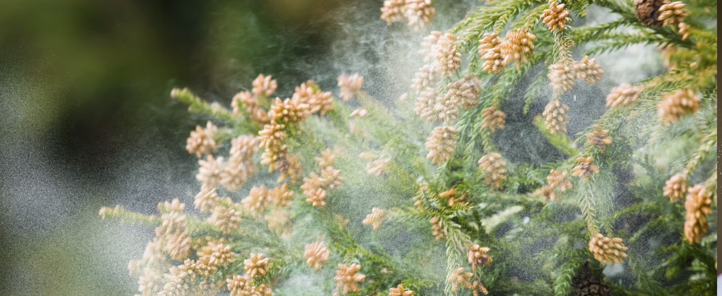 True HEPA Air Purifiers for home Large Room bedroom air purifier air cleaner filter pets