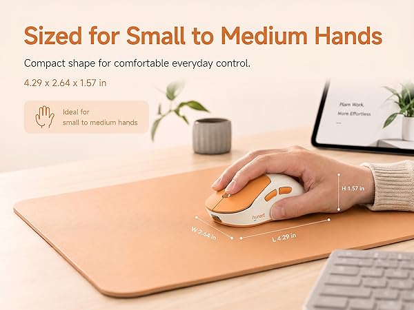 H6 Compact size