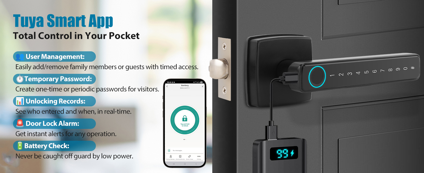 door handle with keypad