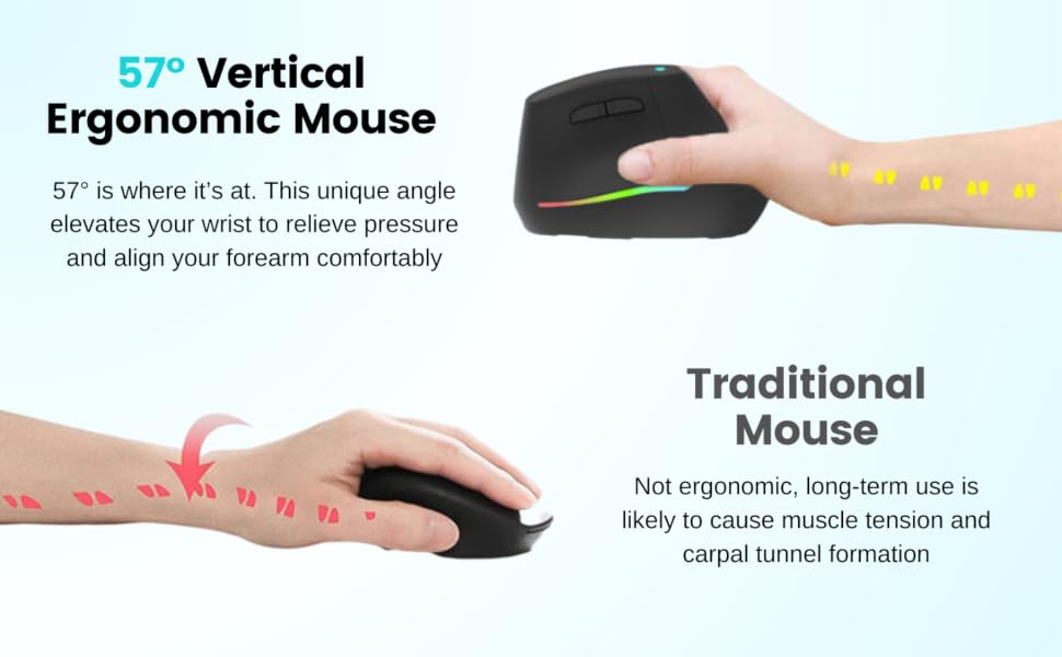 mouse