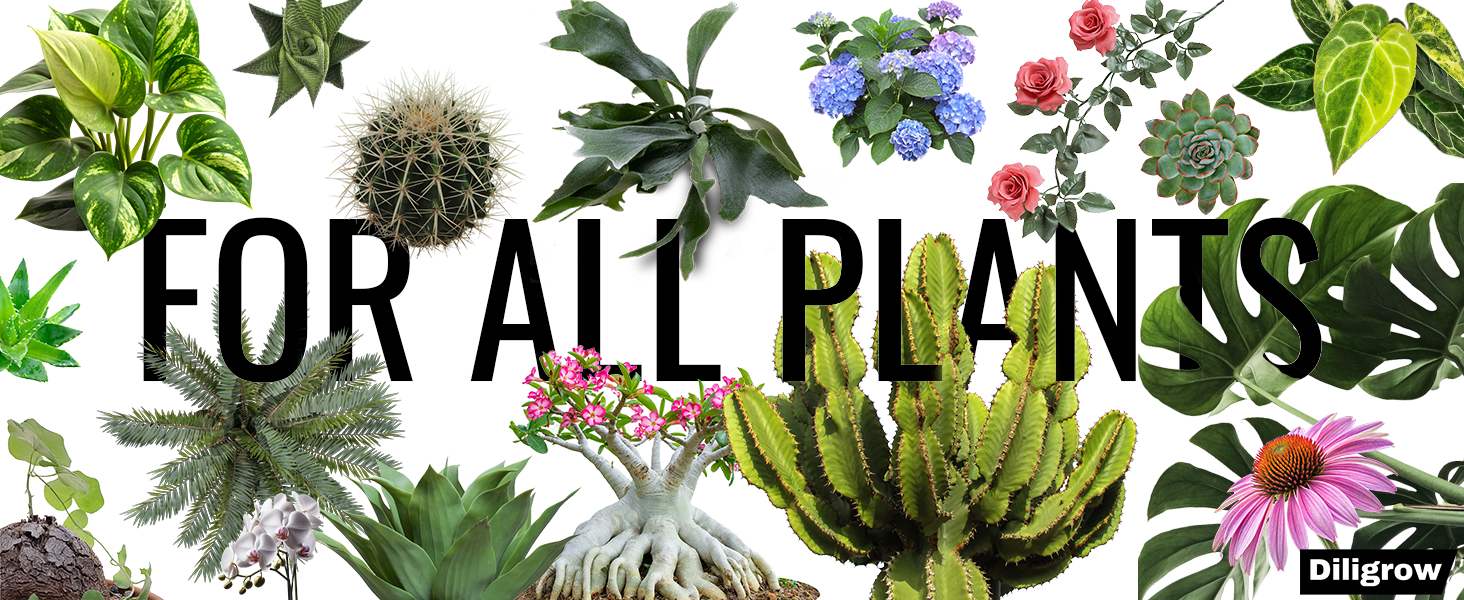 For all plants